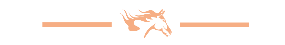 BLAZE BLOODSTOCK