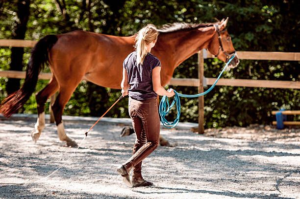 Why Choose Blaze Bloodstock?